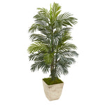 Nearly Natural 8757 56" Artificial Green Areca Palm Plant in Country White Planter