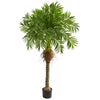 Nearly Natural 5541 5.5' Artificial Green Robellini Palm Tree