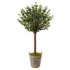 Nearly Natural 5960 4.5' Artificial Green Olive Topiary Tree with Farmhouse Planter