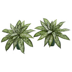 Nearly Natural 8209-S2 8" Artificial Green Silver Queen Plant in Green Planter, Set of 2