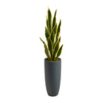 Nearly Natural P1596 3.5’ Sansevieria Artificial Plant in Gray Planters