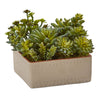 Nearly Natural 4227 7" Artificial Green Mixed Succulent Plant with Decorative Planter