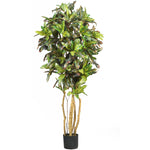 Nearly Natural 5` Croton Silk Tree