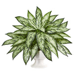 Nearly Natural 8432 18" Artificial Green Silver Queen Plant in White Pedestal