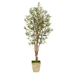 Nearly Natural T2453 6.5’ Olive Artificial Tree in Country White Planter