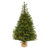 Nearly Natural 6` Fraser Fir ``Natural Look`` Artificial Christmas Tree with 300 Clear LED Lights, a Burlap Base and 2113 Bendable Branches