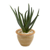 Nearly Natural 8742 15" Artificial Green Aloe Plant in Decorative Vase