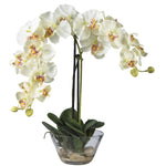 Nearly Natural Phalaenopsis w/Glass Vase Silk Flower Arrangement