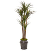 Nearly Natural 9646 6' Artificial Green Giant Yucca Tree in Decorative Planter, UV Resistant (Indoor/Outdoor)