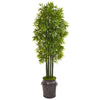 Nearly Natural 9726 6' Artificial Green Bamboo Tree with Black Trunks in Planter, UV Resistant (Indoor/Outdoor)