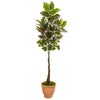 Nearly Natural 9671 67" Artificial Green Real Touch Variegated Rubber Leaf Tree in Terra-Cotta Planter