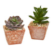 Nearly Natural 8446-S2 9" Artificial Green & Purple Mixed Succulent Plant in Terra Cotta Planter, Set of 2