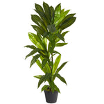 Nearly Natural 3` Dracaena Artificial Plant (Real Touch)