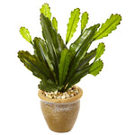 Nearly Natural 6923 13" Artificial Green Cactus in Glazed Clay Pot