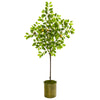 Nearly Natural 9614 67" Artificial Green Lemon Tree in Green Planter