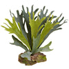 Nearly Natural 6108-S6 14" Artificial Green Staghorn Plant, Set of 6