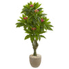 Nearly Natural 9054 5' Artificial Green Plumeria Tree in Decorative Planter, UV Resistant (Indoor/Outdoor)