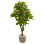 Nearly Natural 9054 5' Artificial Green Plumeria Tree in Decorative Planter, UV Resistant (Indoor/Outdoor)