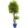 Nearly Natural 5681 6' Artificial Green Jingo Tree in Blue Planter, UV Resistant (Indoor/Outdoor)