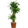 Nearly Natural 62`` Dracena w/Basket Silk Plant (Real Touch)