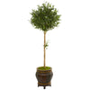 Nearly Natural 9231 5.5' Artificial Green Olive Topiary Tree in Decorative Planter