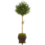 Nearly Natural 9231 5.5' Artificial Green Olive Topiary Tree in Decorative Planter