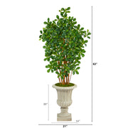 Nearly Natural T2456 63” Black Olive Artificial Tree in Sand Finished Urn