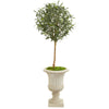 Nearly Natural 9227 57" Artificial Green Olive Tree in Decorative Urn