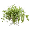 Nearly Natural 8370 35" Artificial Green Spider Plant in Drawer Stand Planter