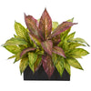 Nearly Natural 8629 16" Artificial Green & Purple Musa Leaf Plant in Black Planter