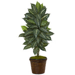 Nearly Natural 6315 4' Artificial Green Zebra Plant in Coiled Rope Planter