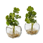 Nearly Natural 8833-S2 9" Artificial Green Clover Plant in Glass Planter, Set of 2