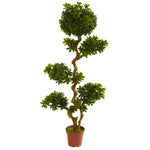 Nearly Natural 5393 5' Artificial Green Pittispourm Tree, UV Resistant (Indoor/Outdoor)