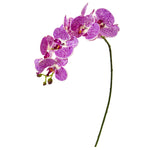 Nearly Natural 30`` Phalaenopsis Orchid Artificial Flower (Set of 6)