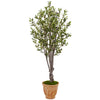 Nearly Natural 5853 5' Artificial Green Olive Tree in Terracotta Planter