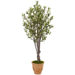 Nearly Natural 5853 5' Artificial Green Olive Tree in Terracotta Planter