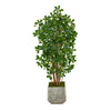 Nearly Natural T2217 67” Black Olive Artificial Tree  in White Planter