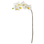 Nearly Natural 32`` Phalaenopsis Orchid Artificial Flower (Set of 6)