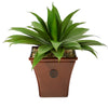 Nearly Natural P1424 26” Agave Succulent Artificial Plant in Brown Planters
