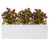 Nearly Natural 6981 7.75" Artificial Green Sedum in Rectangular Planter