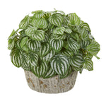 Nearly Natural 8528 13" Artificial Green Real Touch Peperomia Plant in Weathered Vase