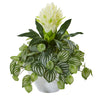 Nearly Natural 18`` Bromeliad & Peperomia Artificial Plant in White Bowl