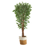 Nearly Natural T2972 70`` Variegated Ficus Artificial Tree in Natural Jute and Cotton Planters
