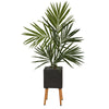 Nearly Natural 64`` Kentia Artificial Palm Tree in Black Planter with Stand