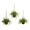 Nearly Natural 6742-S3 9" Artificial Green Ruscus, Sedum & Springeri Hanging Basket, Set of 3