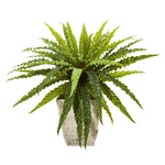 Nearly Natural 8794 24" Artificial Green Asplenium Plant in Country White Planter