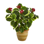 Nearly Natural 14``Variegated Holly Leaf Artificial Plant in Ceramic Planter (Real Touch)