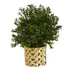 Nearly Natural 15``Sweet Grass Artificial Plant Gold Planter (Indoor/Outdoor)