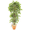 Nearly Natural 9408 64" Artificial Green Elegant Ficus Tree in Terra Cotta Planter