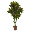 Nearly Natural 5394 5' Artificial Green Plumeria Tree, UV Resistant (Indoor/Outdoor)